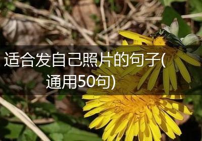 适合发自己照片的句子(通用50句)