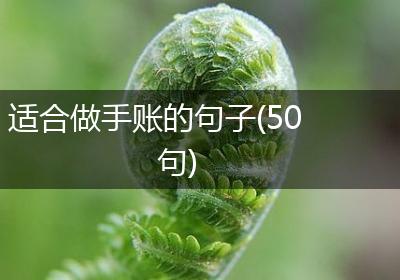 适合做手账的句子(50句)