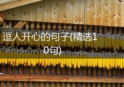 逗人开心的句子(精选10句)