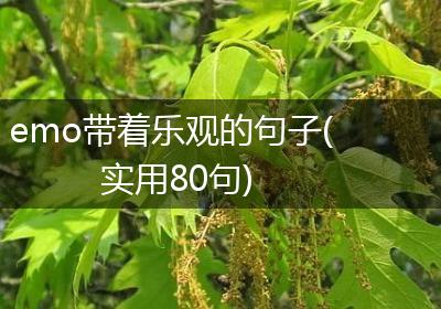 emo带着乐观的句子(实用80句)