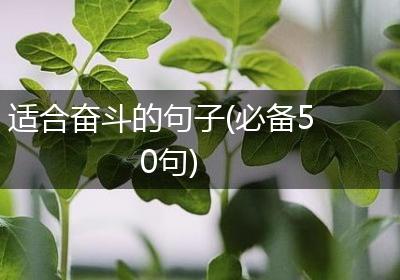 适合奋斗的句子(必备50句)