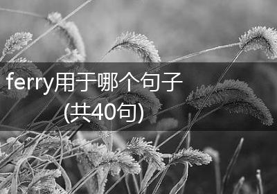 ferry用于哪个句子(共40句)