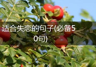 适合失恋的句子(必备50句)