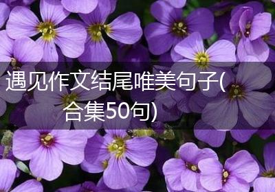 遇见作文结尾唯美句子(合集50句)