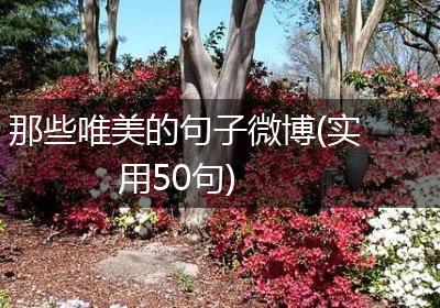 那些唯美的句子微博(实用50句)