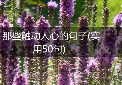 那些触动人心的句子(实用50句)