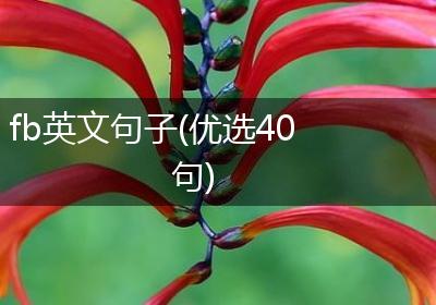 fb英文句子(优选40句)