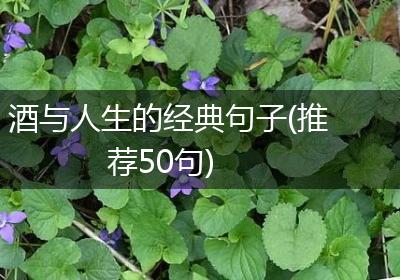 酒与人生的经典句子(推荐50句)