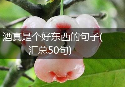酒真是个好东西的句子(汇总50句)