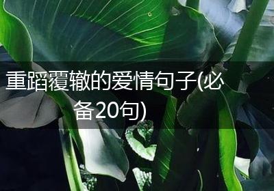 重蹈覆辙的爱情句子(必备20句)
