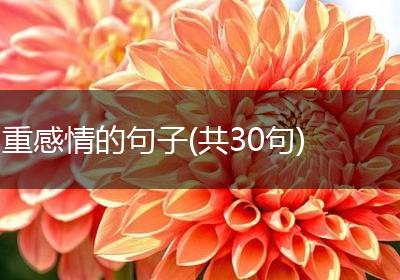 重感情的句子(共30句)