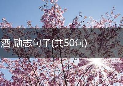 酒 励志句子(共50句)