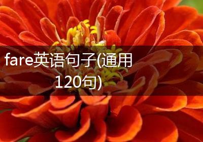 fare英语句子(通用120句)