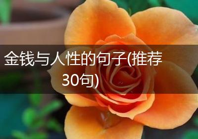 金钱与人性的句子(推荐30句)
