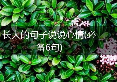 长大的句子说说心情(必备6句)