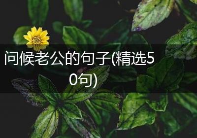 问候老公的句子(精选50句)