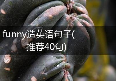 funny造英语句子(推荐40句)