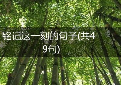 铭记这一刻的句子(共49句)
