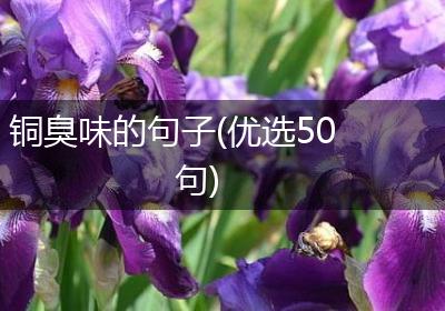 铜臭味的句子(优选50句)