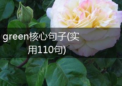 green核心句子(实用110句)