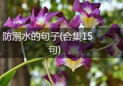防溺水的句子(合集15句)