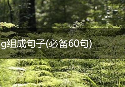 g组成句子(必备60句)