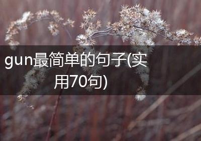 gun最简单的句子(实用70句)