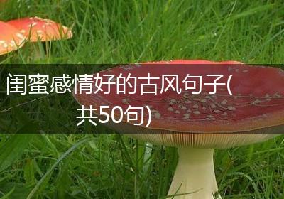 闺蜜感情好的古风句子(共50句)