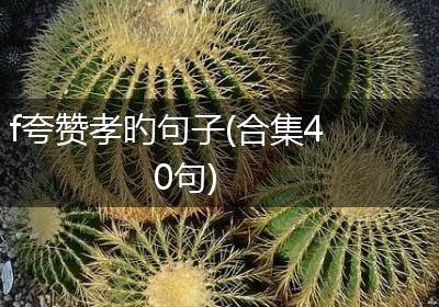 f夸赞孝旳句子(合集40句)