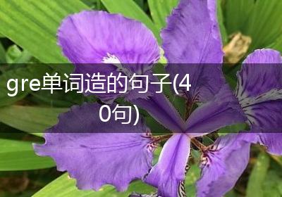gre单词造的句子(40句)