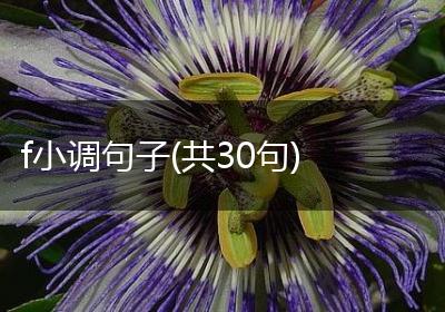 f小调句子(共30句)