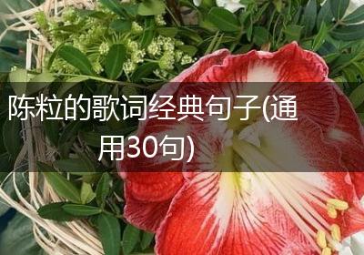 陈粒的歌词经典句子(通用30句)