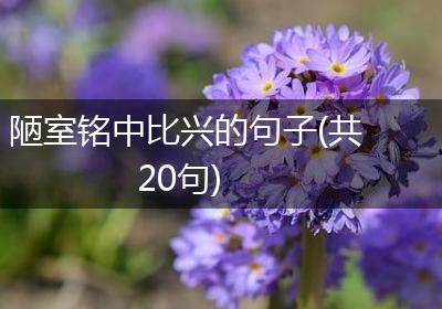 陋室铭中比兴的句子(共20句)