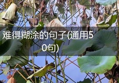难得糊涂的句子(通用50句)
