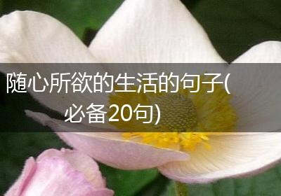 随心所欲的生活的句子(必备20句)