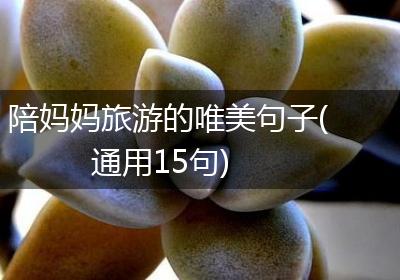 陪妈妈旅游的唯美句子(通用15句)