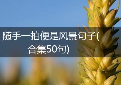 随手一拍便是风景句子(合集50句)