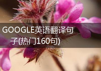 GOOGLE英语翻译句子(热门160句)