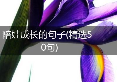 陪娃成长的句子(精选50句)