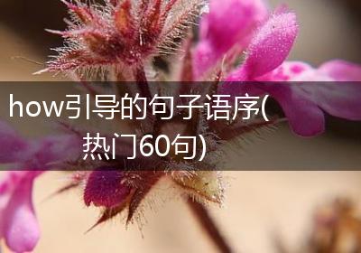 how引导的句子语序(热门60句)