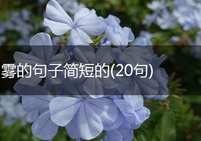 雾的句子简短的(20句)