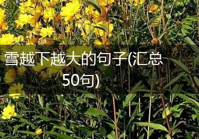 雪越下越大的句子(汇总50句)