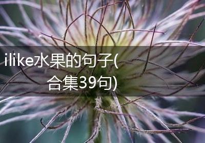 ilike水果的句子(合集39句)