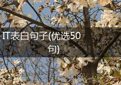IT表白句子(优选50句)