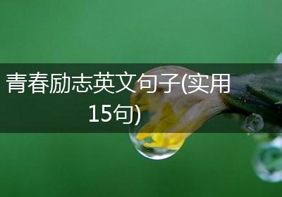 青春励志英文句子(实用15句)