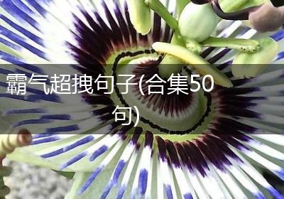 霸气超拽句子(合集50句)