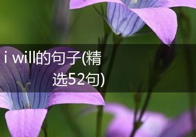 i will的句子(精选52句)