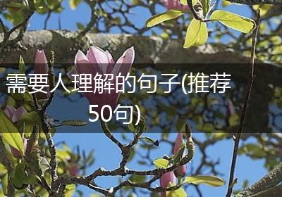 需要人理解的句子(推荐50句)