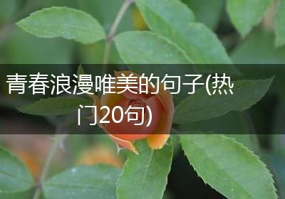 青春浪漫唯美的句子(热门20句)