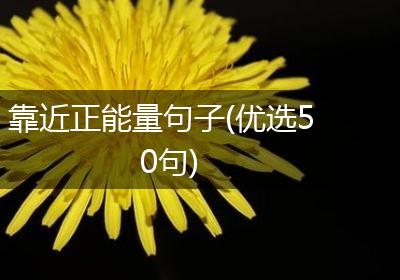靠近正能量句子(优选50句)